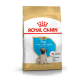 Royal Canin Pug Puppy – Hrană Uscată pentru Căței din Rasa Pug, 1,5 kg